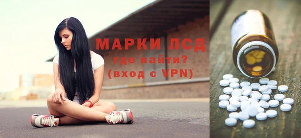 гашик Зерноград