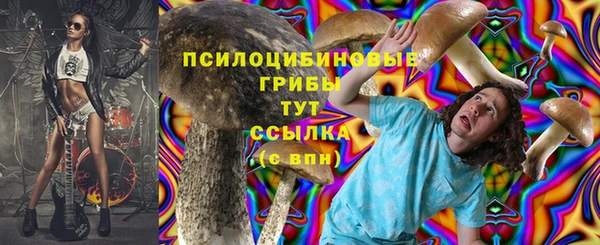 гашик Зерноград