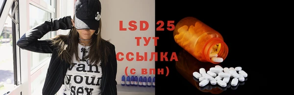 гашик Зерноград