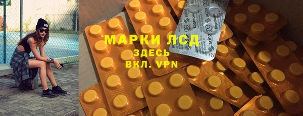 гашик Зерноград