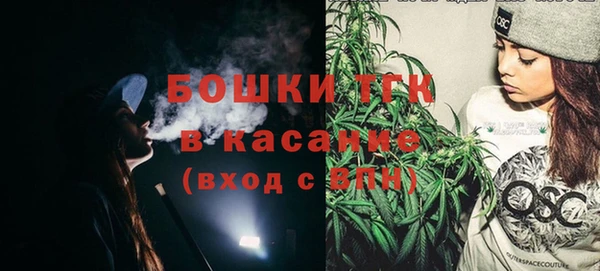 гашик Зерноград