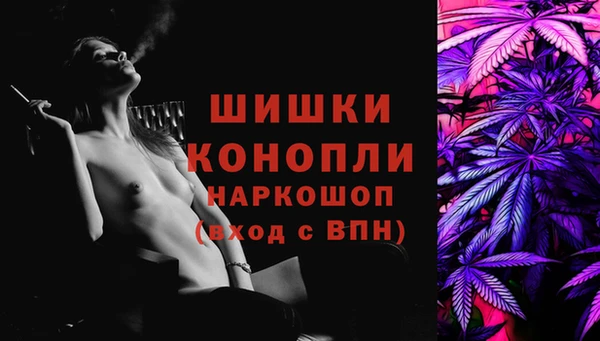 гашик Зерноград