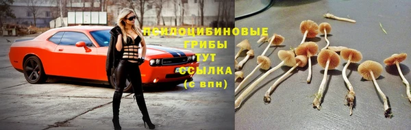 MESCALINE Зеленокумск